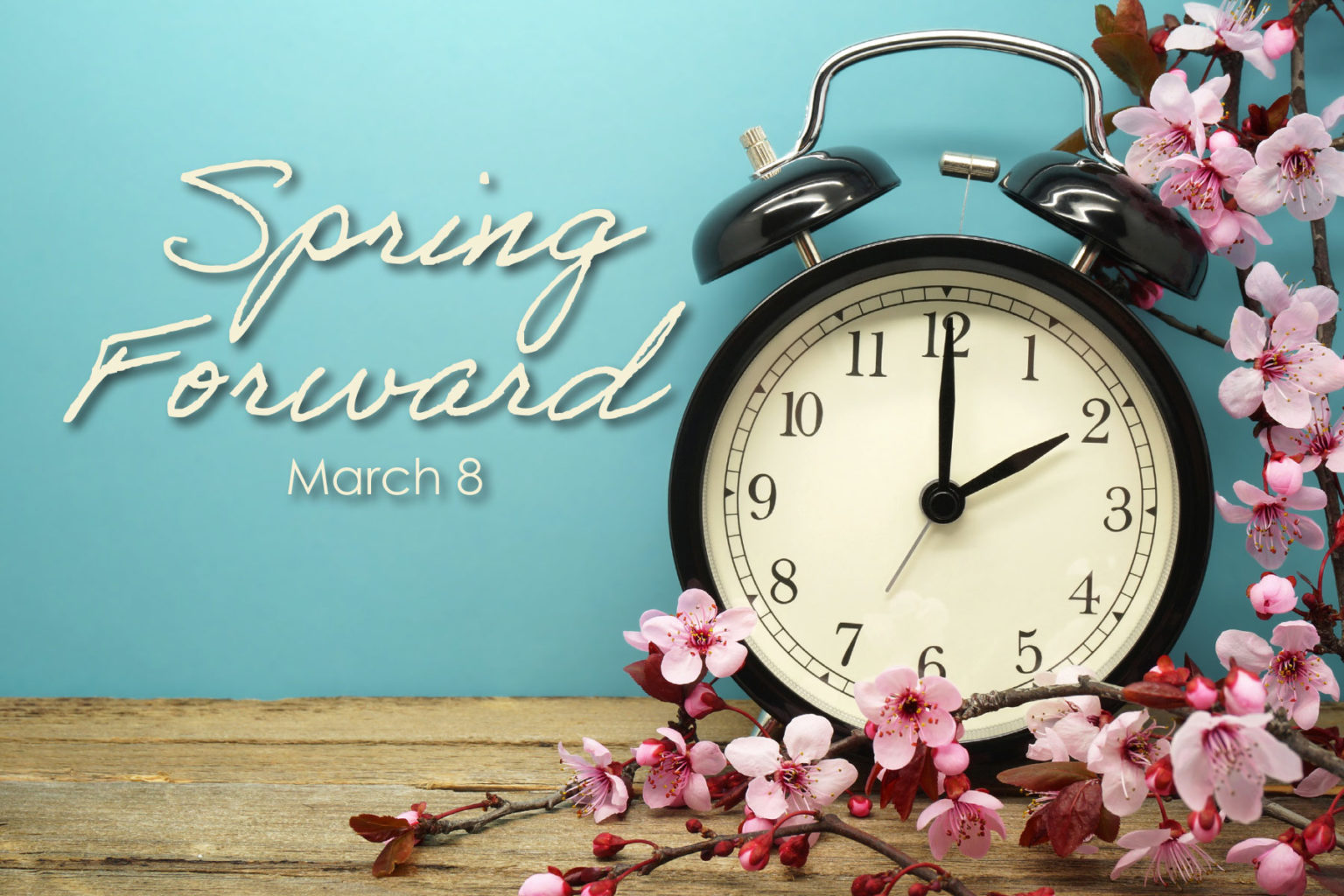 Spring Forward   Daylight Savings Time   Concordia Group Delivers