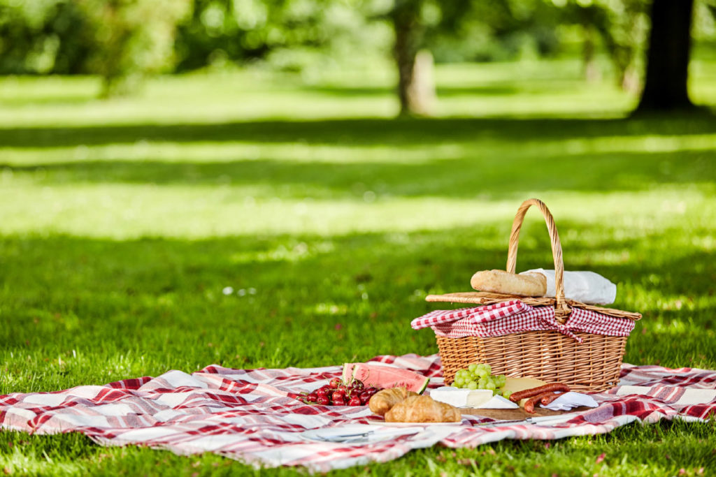 Picnic Postcard Concordia Group Delivers