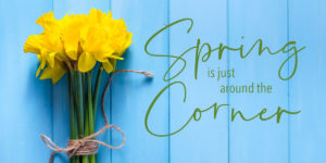 Spring Realtor 2021 (Oversized)