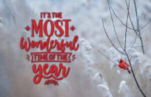 It's the Most Wonderful Time of the Year