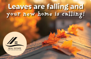 Leaves are Falling