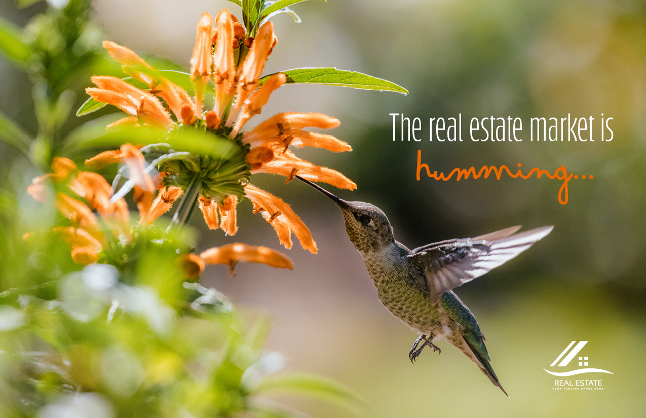 Real Estate Market is Humming