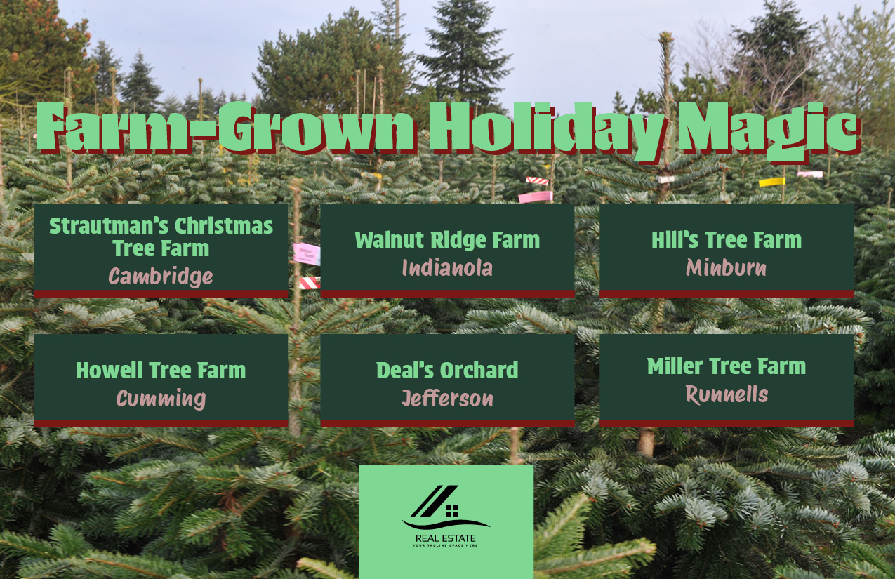 Holiday Farms