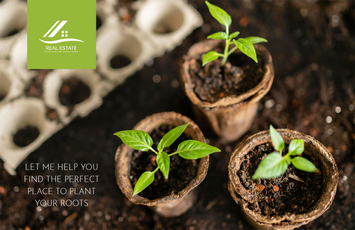 The Perfect Place to Plant Your Roots