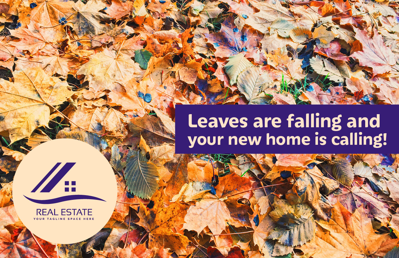 Leaves are Falling