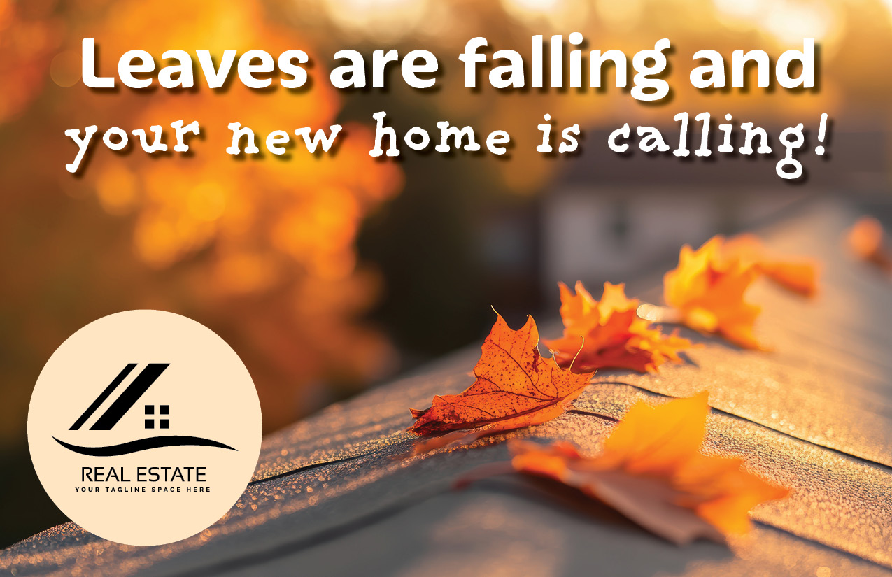 Leaves are Falling 1