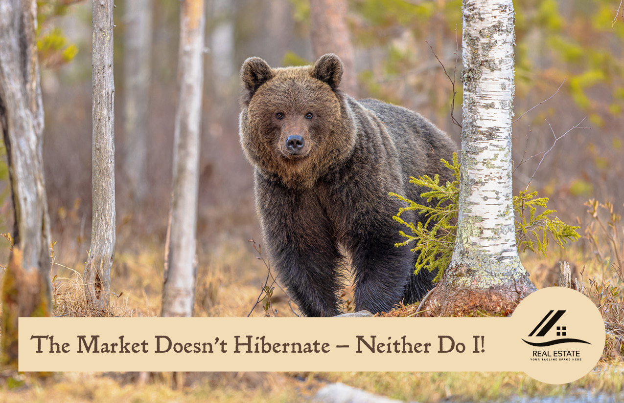 The Market Doesn't Hibernate